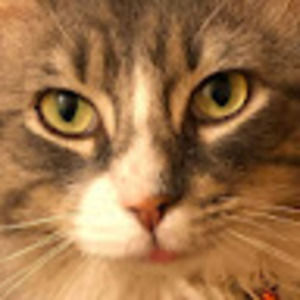 Meet your Posher, Molly